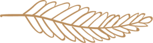 hoja-literagency